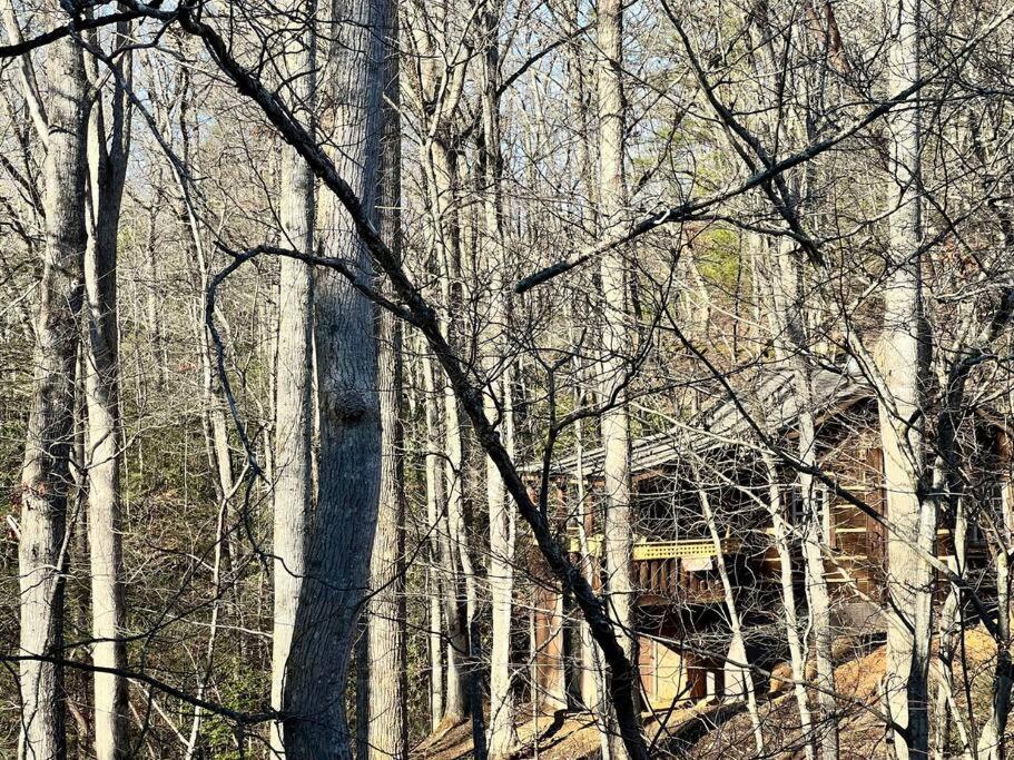 Boozy Bear Bungalow Romantic Cabin 5 Mins 2 Downtown With Hot Tub And Fire Pit Gatlinburg Ngoại thất bức ảnh